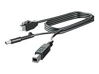 HP - DisplayPort -kaapeli - DisplayPort (uros) to DisplayPort (uros) - 3 m malleihin RP9 G1 Retail System 9015, 9018, 9118 V4P97AA
