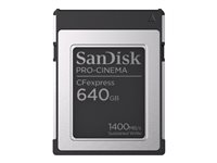 SanDisk PRO-CINEMA - Flash-muistikortti - 640 Gt - CFexpress Type B SDCFEC-640G-GN4NN