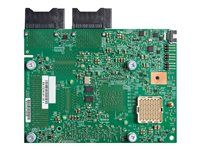 Cisco UCS Virtual Interface Card 15422 - verkkosovitin - Mezzanine Card - 25 Gigabit Ethernet x 4 UCSX-ME-V5Q50G=