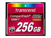 Transcend Premium - Flash-muistikortti - 256 Gt - 800x - CompactFlash TS256GCF800