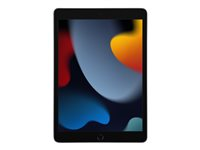 Apple 10.2-inch iPad Wi-Fi - 9. sukupolvi - tabletti - 256 Gt - 10.2" MK2N3KN/A