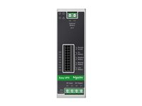 Schneider Electric Easy UPS - UPS (DIN-kiskoon kiinnitettävä) - 10A - DC 24 V - 240 watti(a) - ilman paristoa - lähtöliittimet: 1 - metalli harmaa BVS240XDPDR