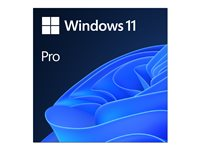 Windows 11 Pro - Lisenssi - 1 lisenssi - ESD - National Retail, 64-bit - Kaikki kielet FQC-10572