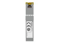 NETGEAR AXM765v2 - SFP+ lähetin-vastaanotin-moduuli - 10GbE - 10GBase-T - RJ-45 - jopa 80 m AXM765-20000S