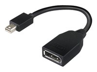 Lenovo - DisplayPort-sovitin - Mini DisplayPort (uros) to DisplayPort (naaras) - 17.6 cm malleihin ThinkCentre M70; M75t Gen 2; M80; M90; ThinkStation P330 Gen 2; P34X; P350; P520; P620 4X90L13971