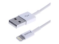 Insmat - Salamakaapeli - USB uros to Lightning uros - 2 m - kaksoiseristetty - valkoinen 133-1019