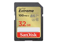 SanDisk Extreme - Flash-muistikortti - 32 Gt - Video Class V30 / UHS-I U3 / Class10 - SDHC UHS-I SDSDXVT-032G-GNCIN