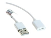 Insmat - Salamakaapeli - USB uros to Lightning naaras - 1 m malleihin Apple Pencil 133-1030