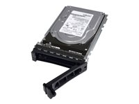Dell - Asiakaspaketti - kiintolevyasema - 1 Tt - hot-swap - 2.5" (3,5" kotelossa) - SATA 6Gb/s - 7200 kierrosta/min malleihin PowerEdge T330 (3.5") 400-AKXQ