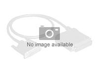 HPE MiniSAS interface cable - Ulkoinen SAS-kaapeli - 4-linjaa - 4 x Mini SAS HD (SFF-8644) (uros) to 26 nastainen 4x Shielded Mini MultiLane SAS (SFF-8088) (uros) - 2 m malleihin ProLiant ML110 Gen9, ML110 Gen9 Base, ML110 Gen9 Entry K2R09A